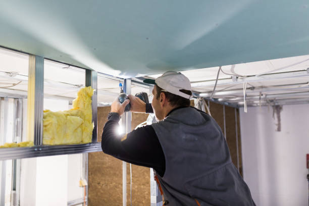 Best Insulation for Specific Applications in Fort Thomas, KY